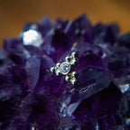 Sabrina 3 by Anatometal