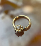 Little Shop of Horrors by Jewelry This Way