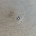 Paris (White Topaz) by Buddha Jewelry Organics