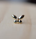 Tink Butterfly from BVLA