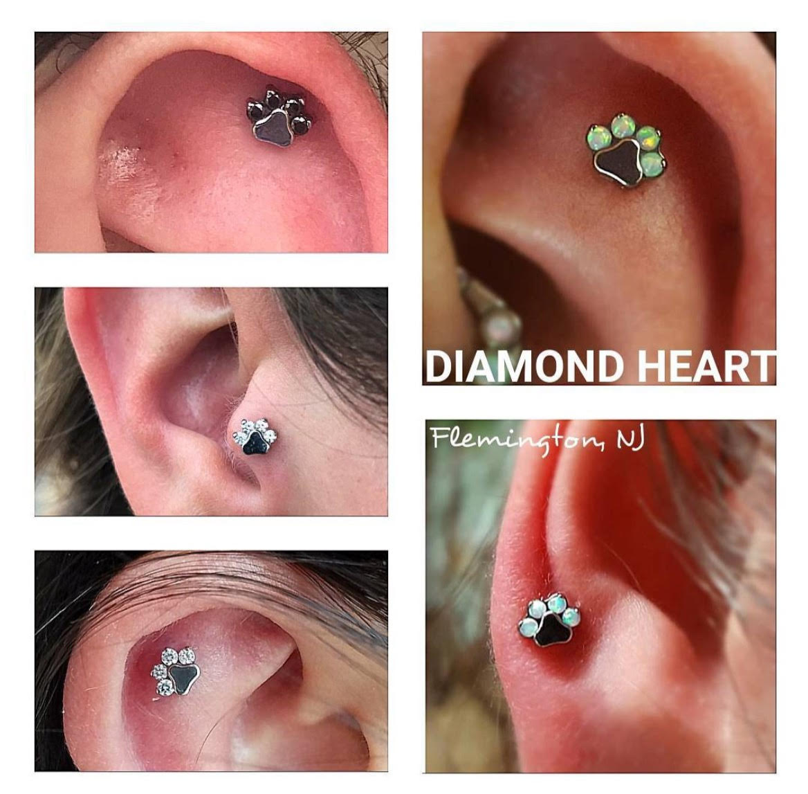 Paw Print by Industrial Strength