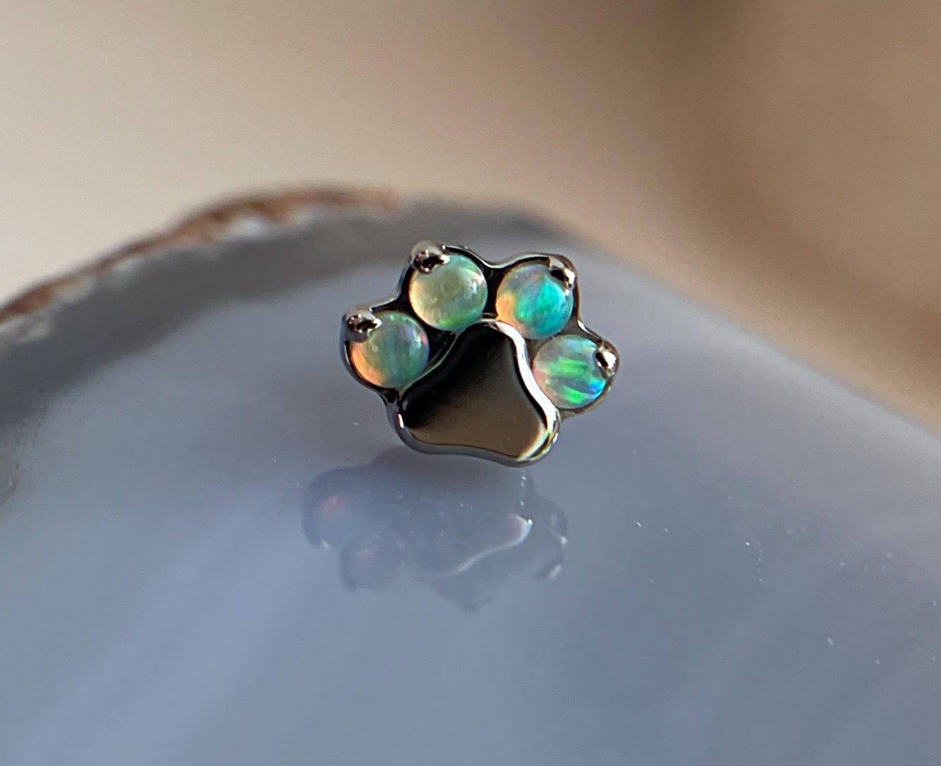 Paw Print by Industrial Strength