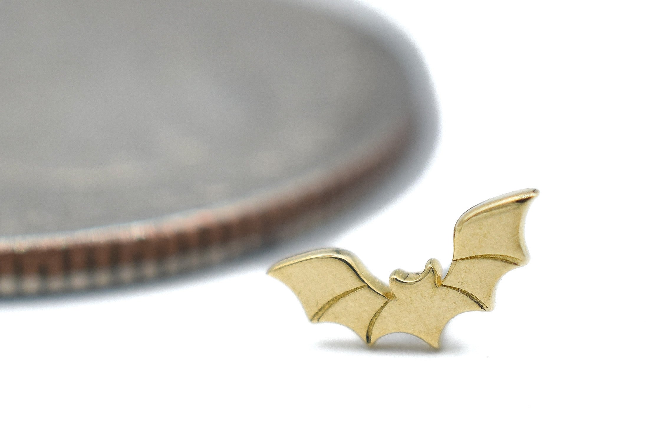 Bruce Bat by Junipurr