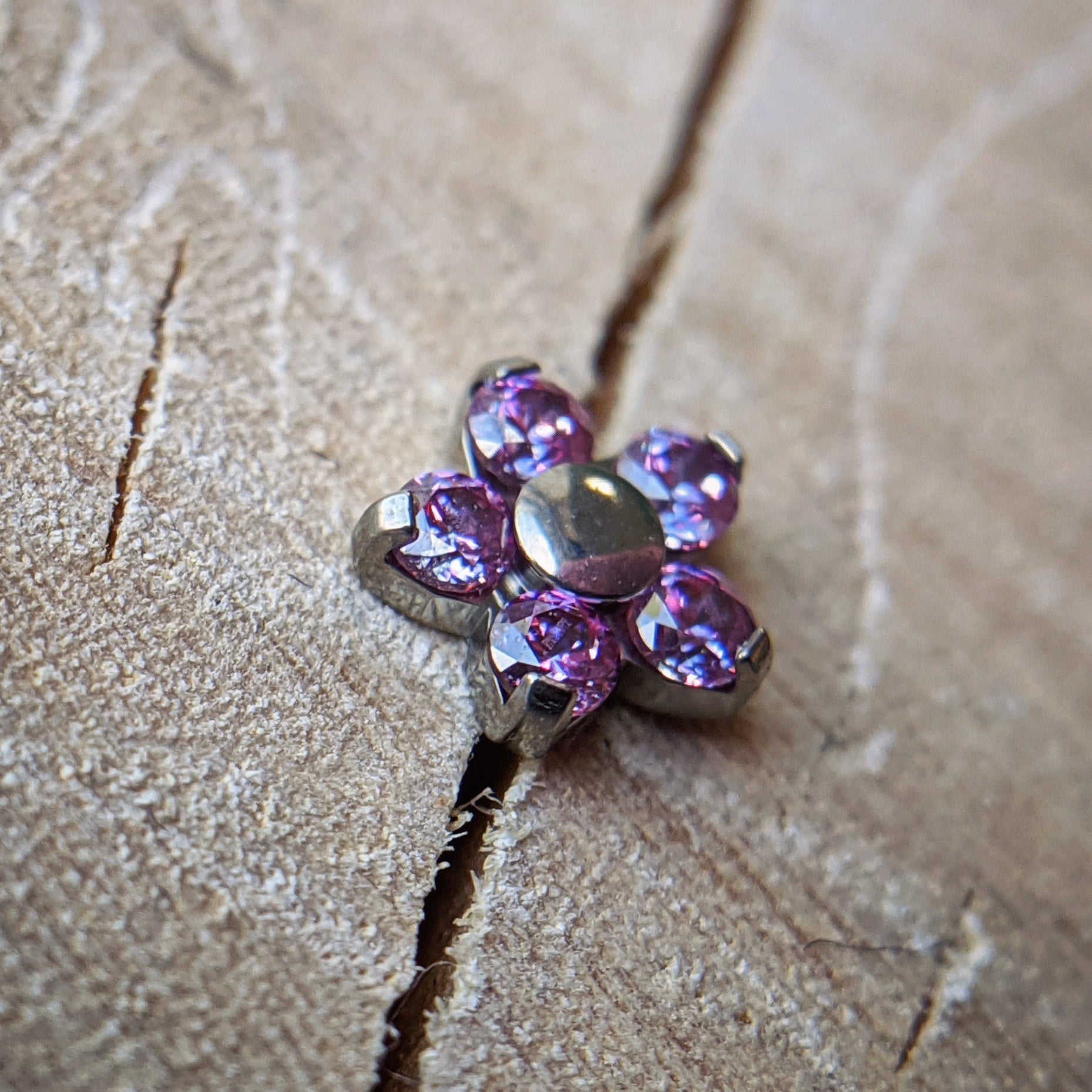 Small Daisy Flower by NeoMetal (ALL COLORS)