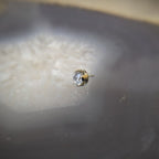 CZ Prong by Anatometal